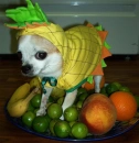 fruity