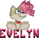 Evelyn butterfly kitty