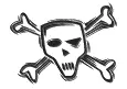 skull