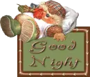 good night