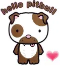 hello pitbull