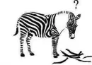 zebra