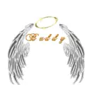 name with wings