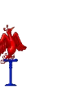 phoenix