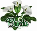 Brenda