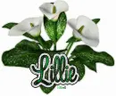 Lillie