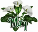 Mary