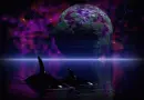 Orca Dream