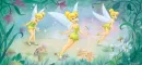 Tinkerbell