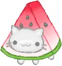 watermelon kitty