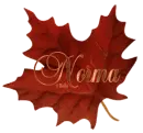 Norma