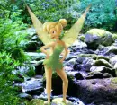 TINKERBELL