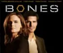 bones