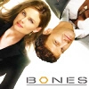 bones