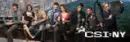 csi:ny banner