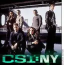 csi:ny