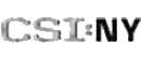 csi:ny
