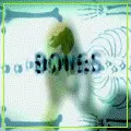 bones