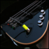 Bass