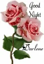 good night