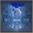 white tiger