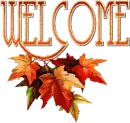 Welcome