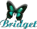 Bridget