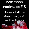 Eclipse Confession