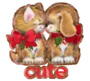 cute cats
