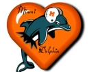 miami dolphin