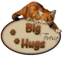 Cat Hug