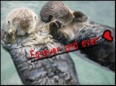 Otters