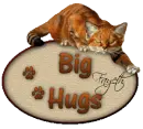 Cat Hug