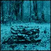 the ring