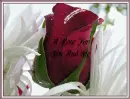 A ROSE FOR YOU AND ME