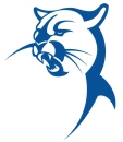 Blue Cougar