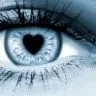 contacts