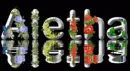 Aletha - Silvered Name