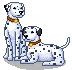 Dalmations