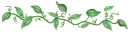 green leaves