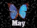 May-Butterfly