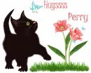 Perry