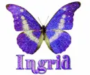 Ingrid-Butterfly
