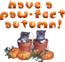 two cute kitties (paw-fect autumn)