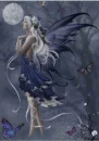  FAIRY