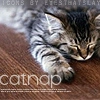 Cat nap...ZzZz
