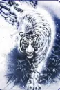 white tiger