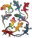 geckos