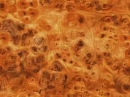 bird's eye maple