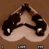 making love